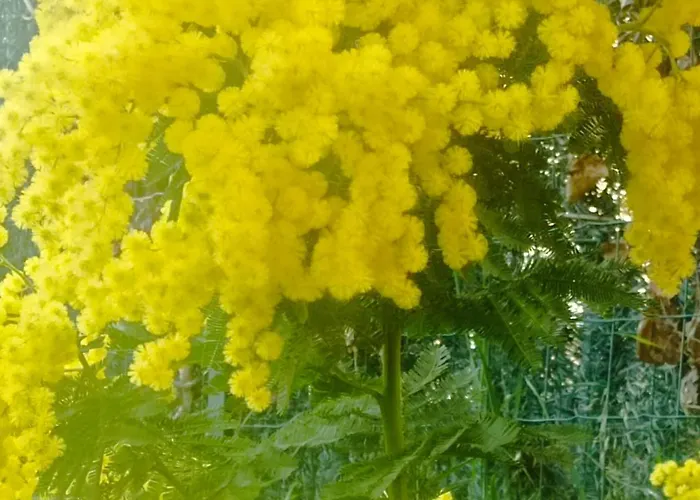 T2 Rez De Jardin Proximite Et Centre شقة