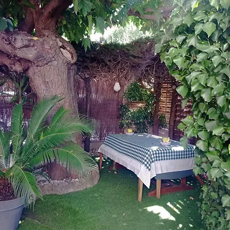 Rez De Jardin Proximité Et Centre
