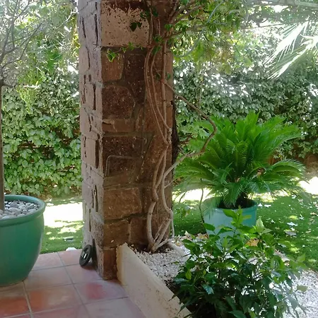 Appartamento Rez De Jardin Proximité Et Centre